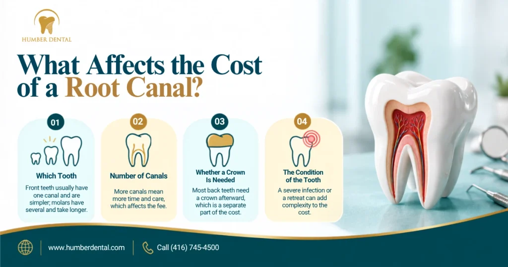 What Affects the Cost of a Root Canal
